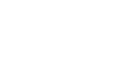 Forge Lab 3D